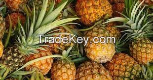 Fresh Fruits , Tropical Fruits , Pineapples , Candlenuts , Megnuts , Ginger , Sugar Palm Fruits