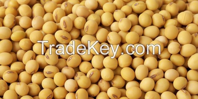 Soybeans