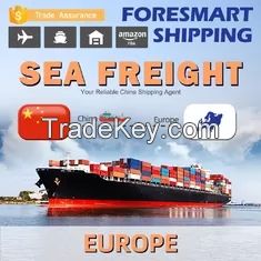 Weekly International Sea Freight Services , 40ft Container Shipping From China To Europe