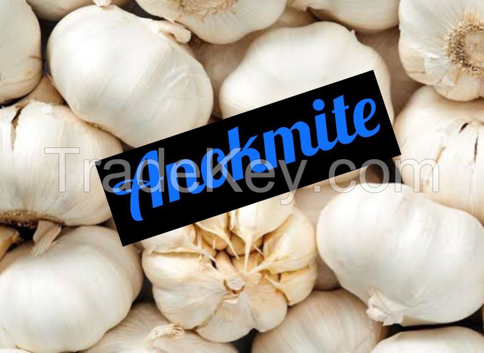 garlic