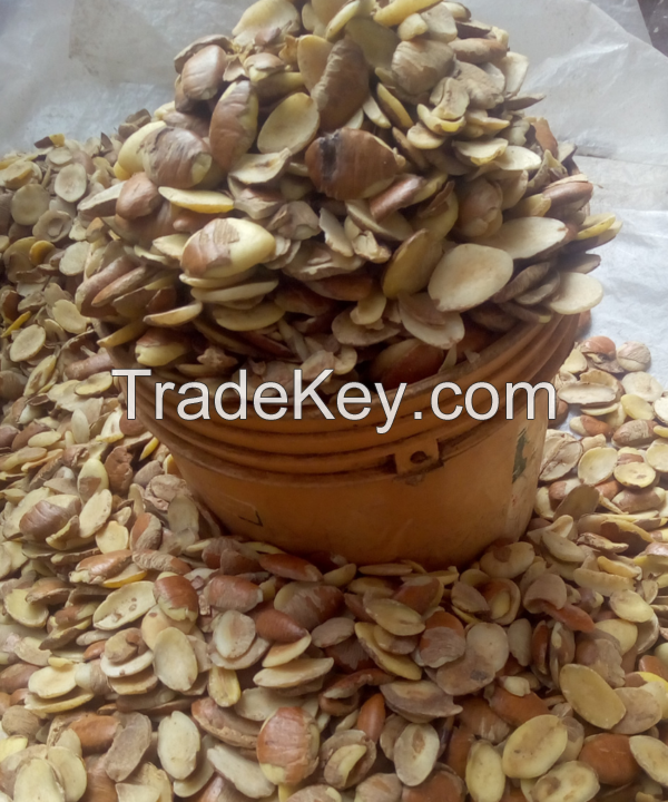 Ogbono Seeds (Irvingia gabonensis)