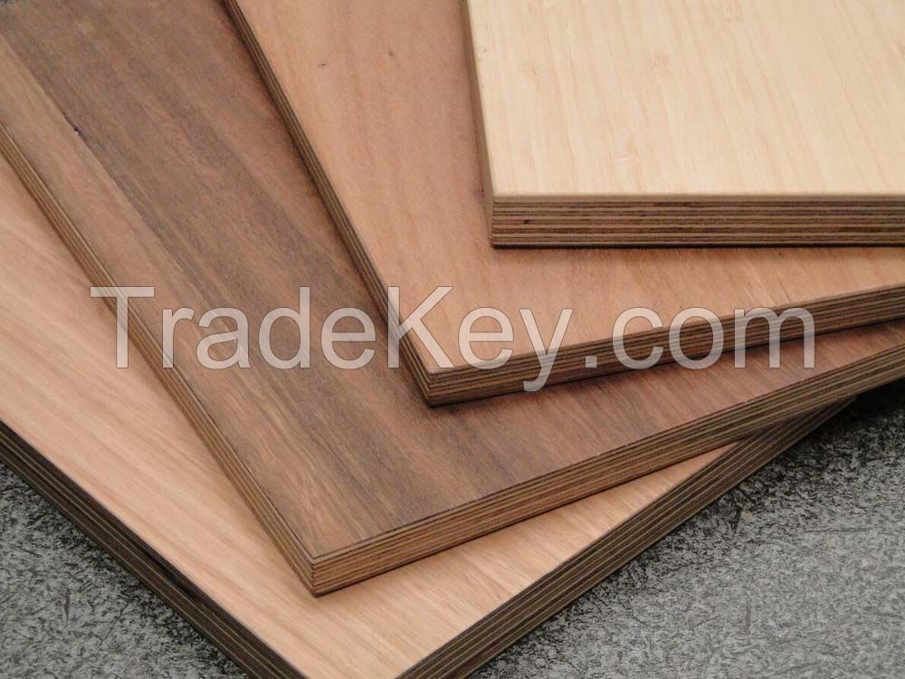 Vietnam Commercial Plywood - Bintangor, Birch, Okume Face 