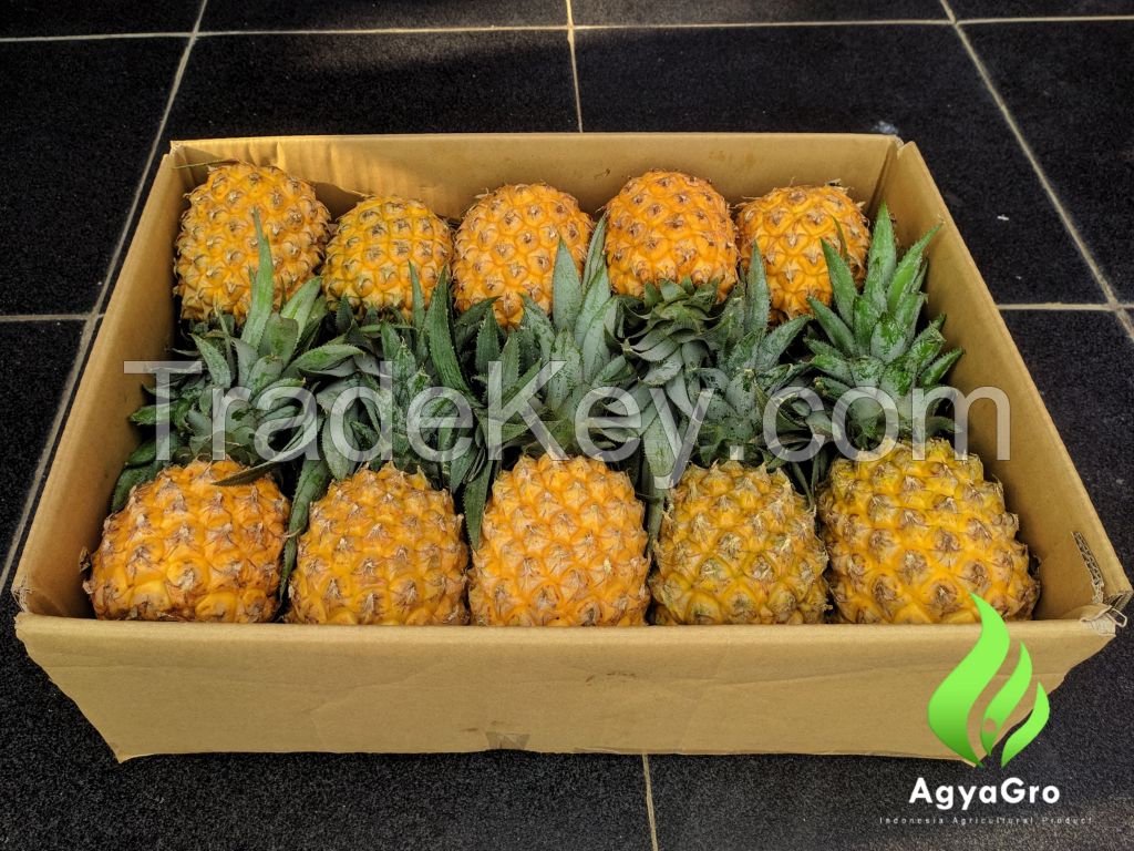 Fresh Pineapples Fruits