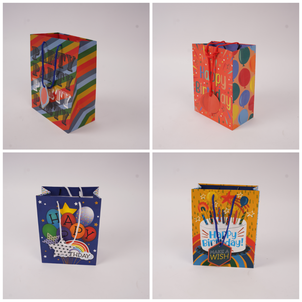 Paper Gift Bags with Custom Design for Retail Gift Stores