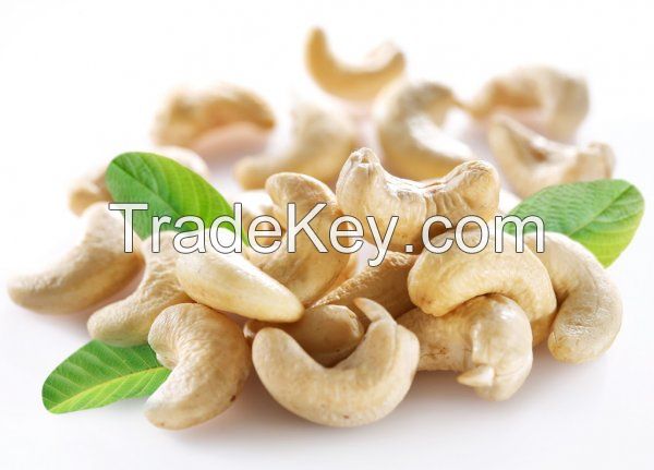 premiume quality cashew nuts