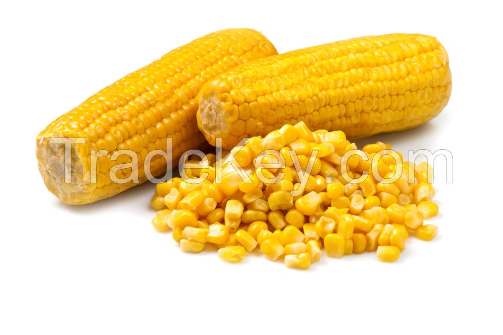 CORN