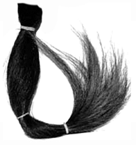 Horse Tail Hair