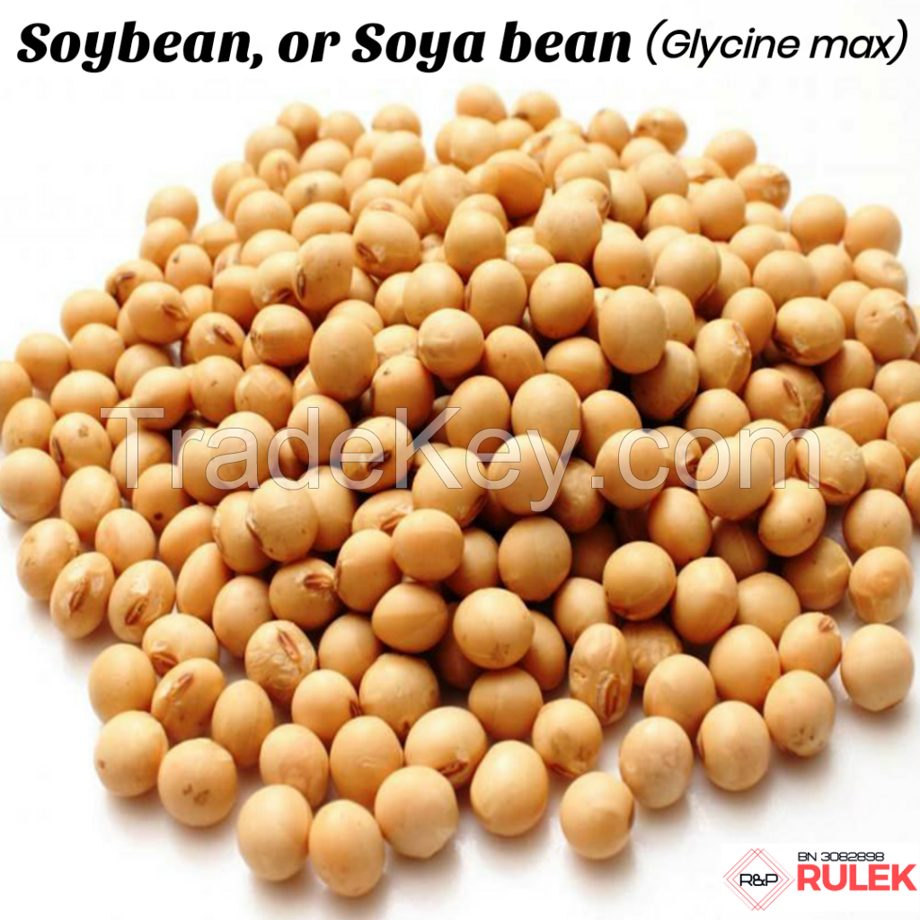 Soybeans