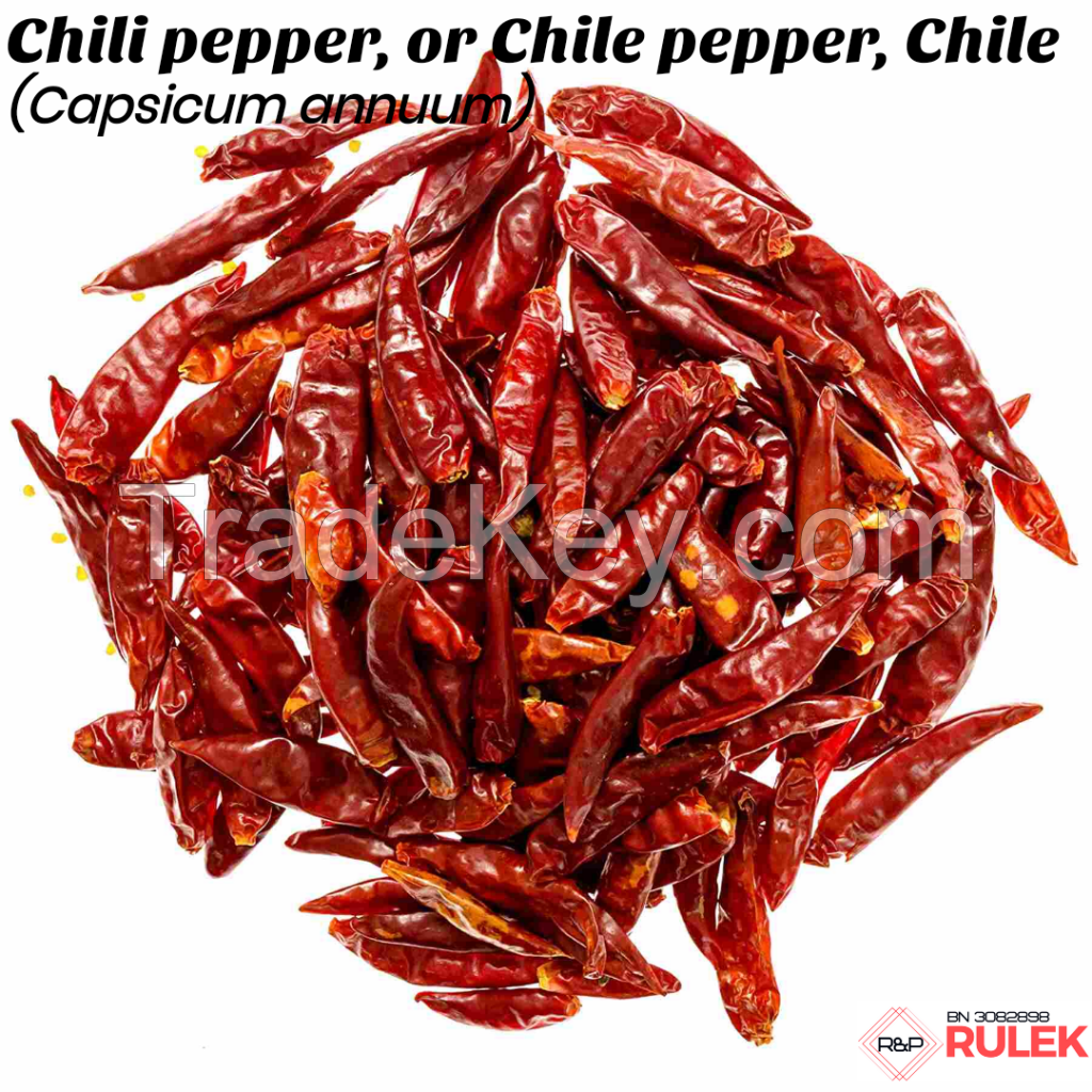 Hot Chilli Pepper