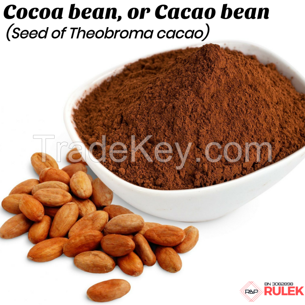 Cocoa Beans