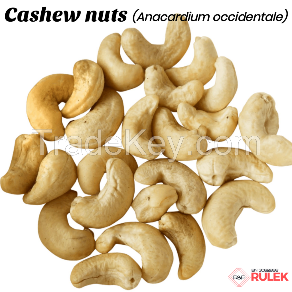 Cashew Nuts