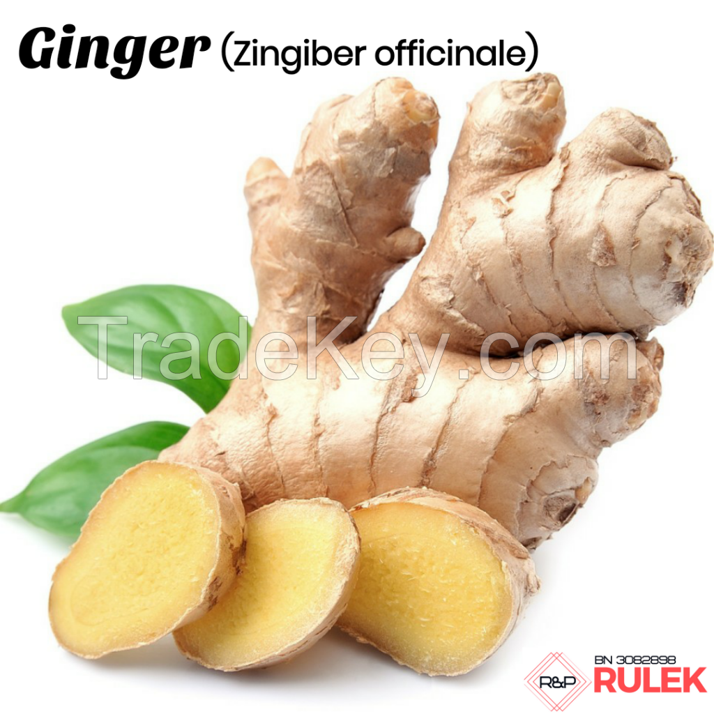 Ginger