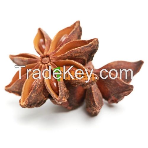 BEST PRICE FROM VIETNAM NATURAL STAR ANISE / STAR ANISEED / STAR ANISE SEED