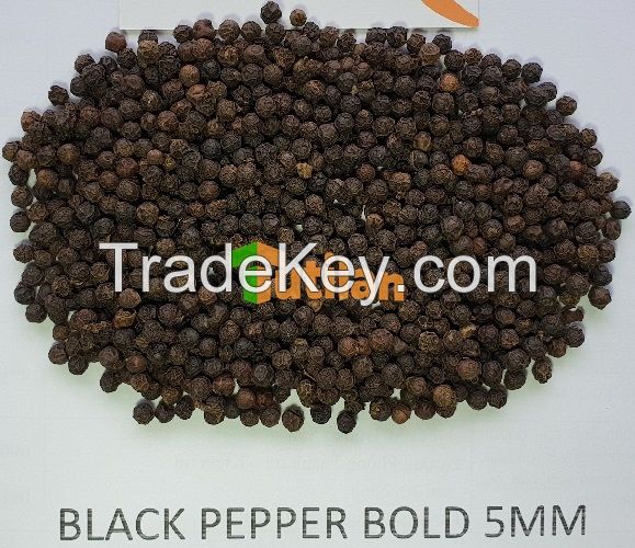 BEST PRICE FROM FACTORY FOR PURE QUALITY BLACK PEPPER 500GL 550GL 5MM (+84915211469)