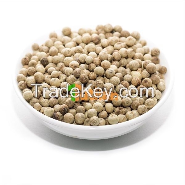 BEST PRICE FROM FACTORY FOR PURE QUALITY WHITE PEPPER DOUBLE WASHED (+84915211469)