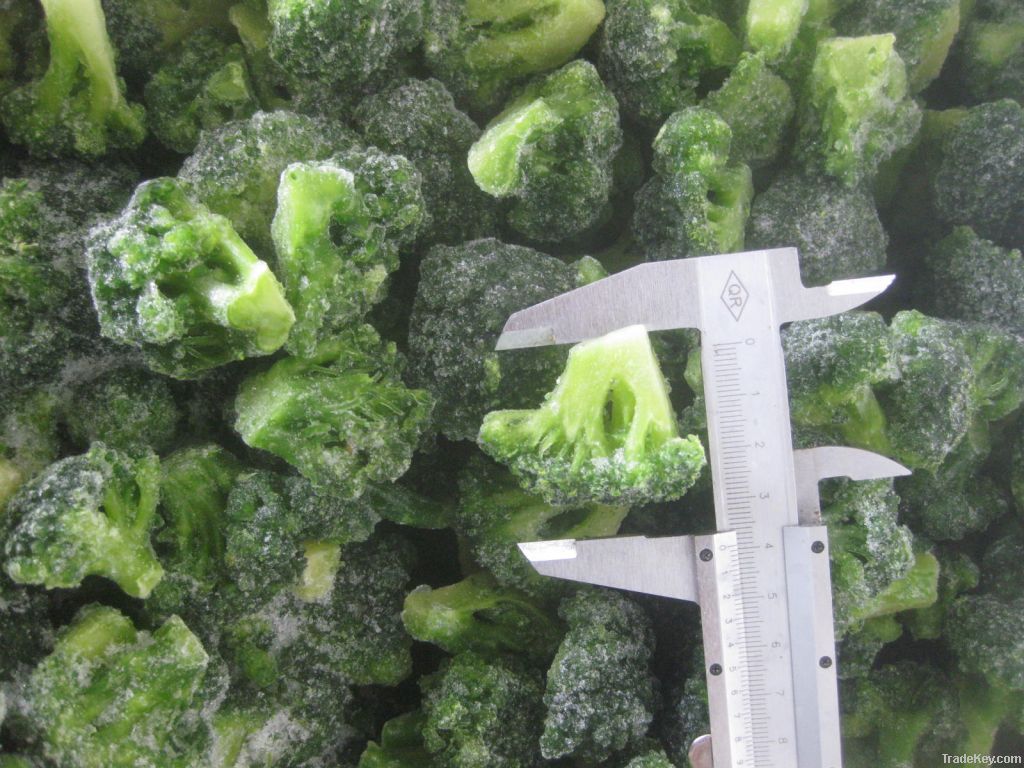 Frozen broccoli floret