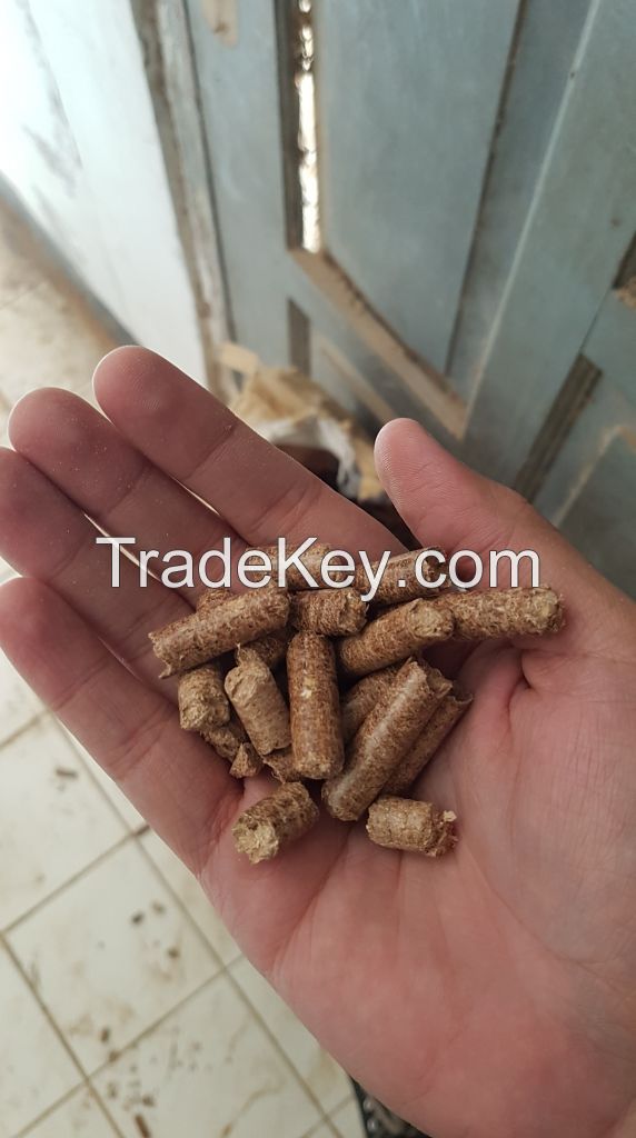 Wood Pellet from Indonesia