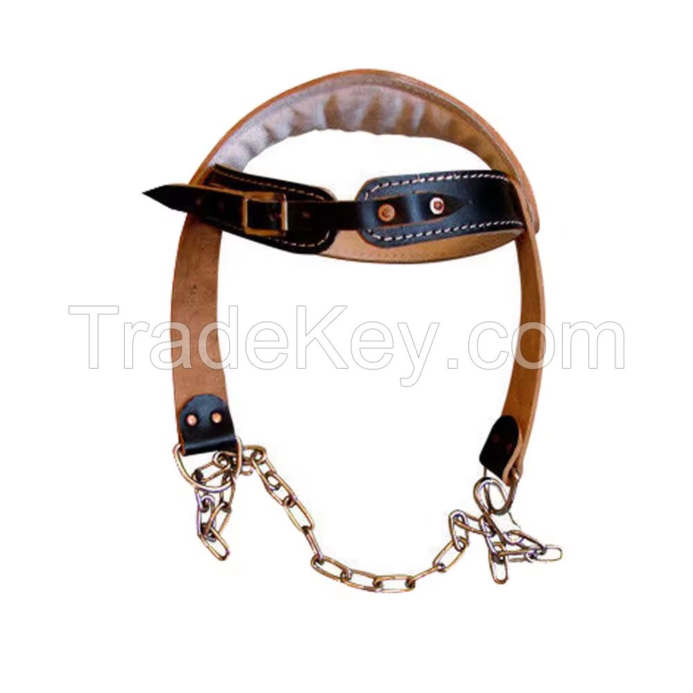 Heavy Duty Strength Exercise Head Harness With Long Adjustable Chain