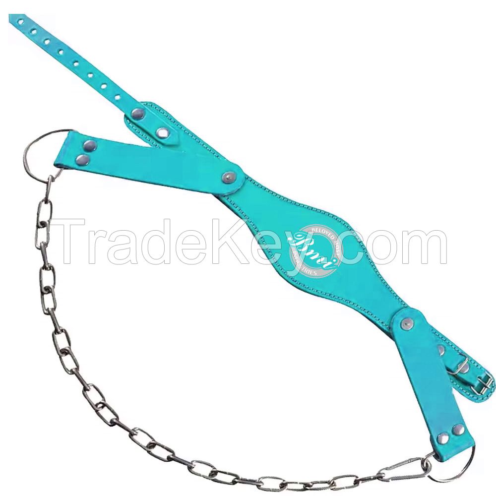 Top Quality Neoprene Padded Head Harness with Steel D Ring Chain