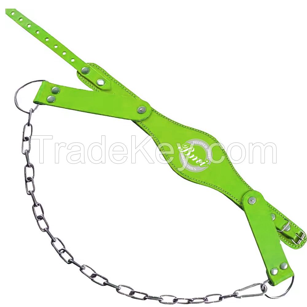Top Quality Neoprene Padded Head Harness with Steel D Ring Chain