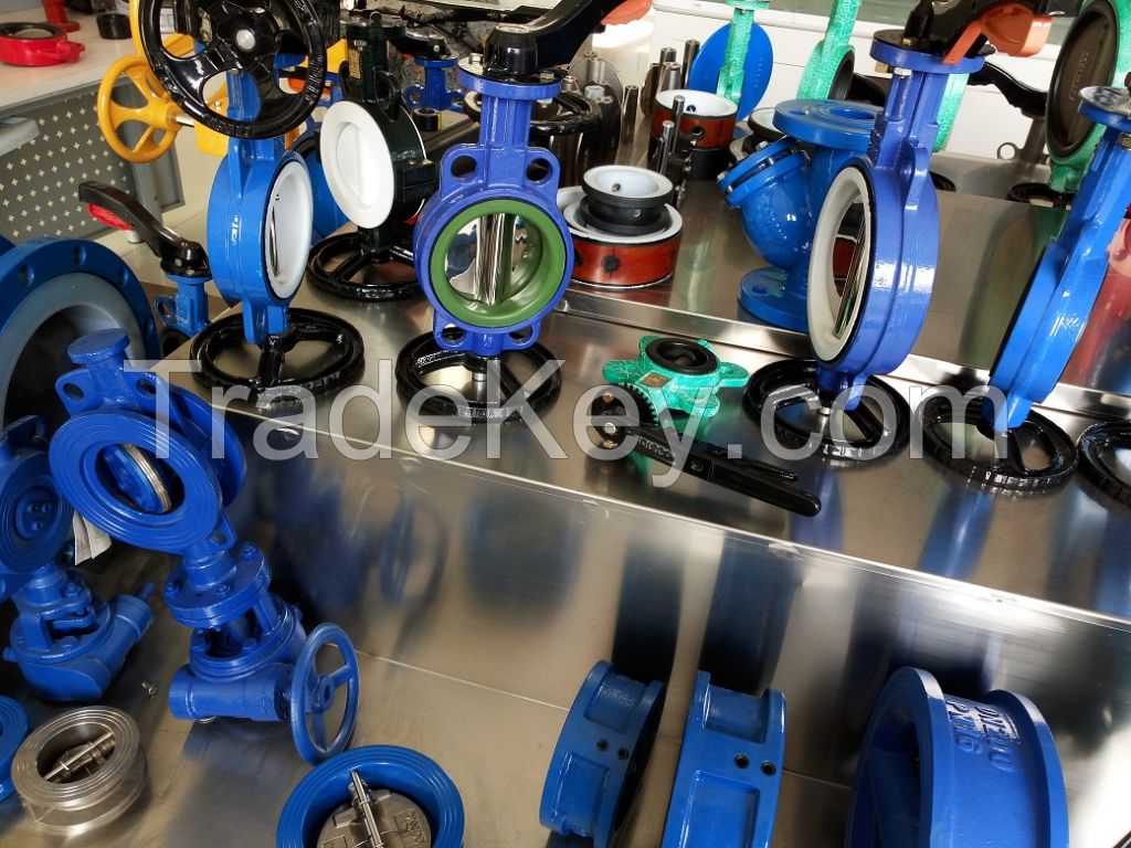 lugged butterfly valve