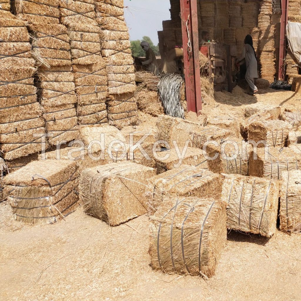 Wheat Straw