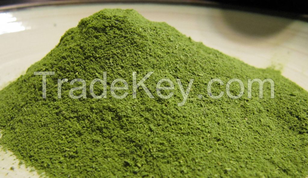 Moringa Powder and Seed