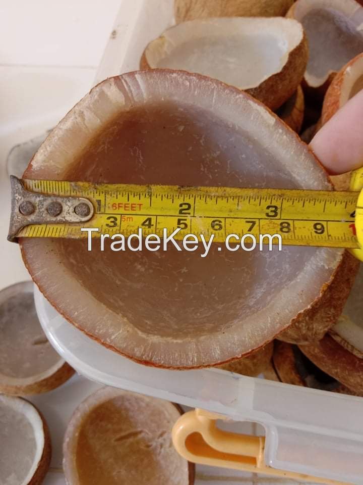 Dried Copra for Coconut Oil