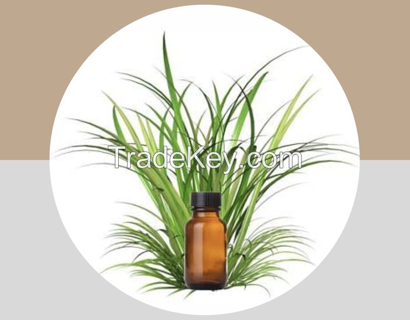 Vetiver Oil