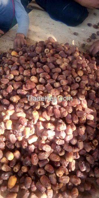 Dried dates & Semi dried dates