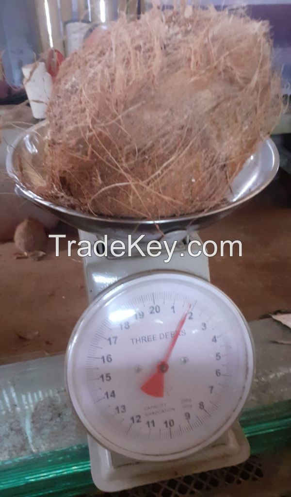 coconut semi husk