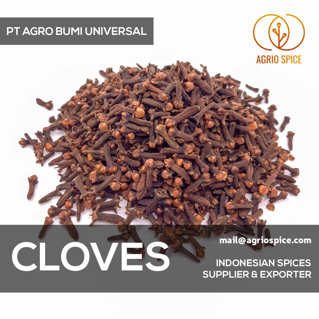 Dried Whole Cloves - Indonesian Premium Spices AB6 Lal Pari Zanzibar