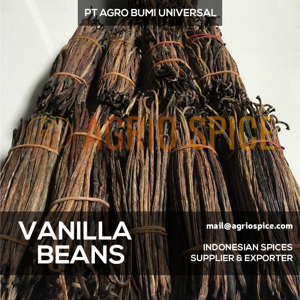 Vanilla Beans - Vanilla Tahitensis Indonesian Best Vanilla Pods