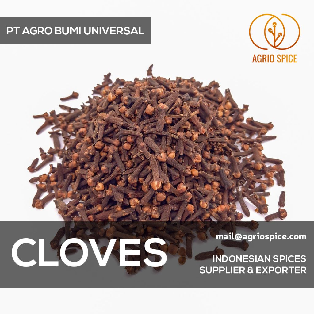 Dried Whole Cloves - Indonesian Premium Spices AB6 Lal Pari Zanzibar