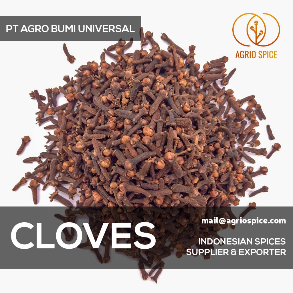 Dried Whole Cloves - Indonesian Premium Spices AB6 Lal Pari Zanzibar