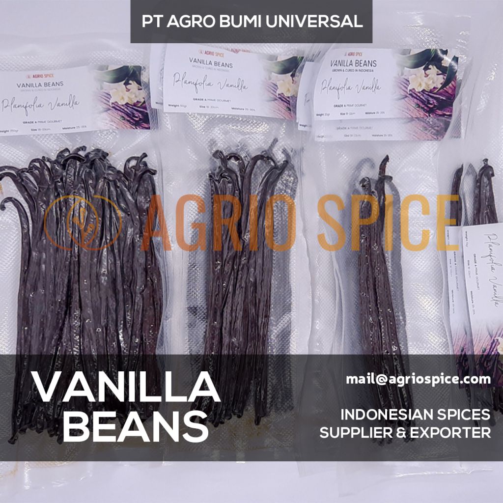 Vanilla Beans - Vanilla Planifolia Indonesian Best Vanilla Pods