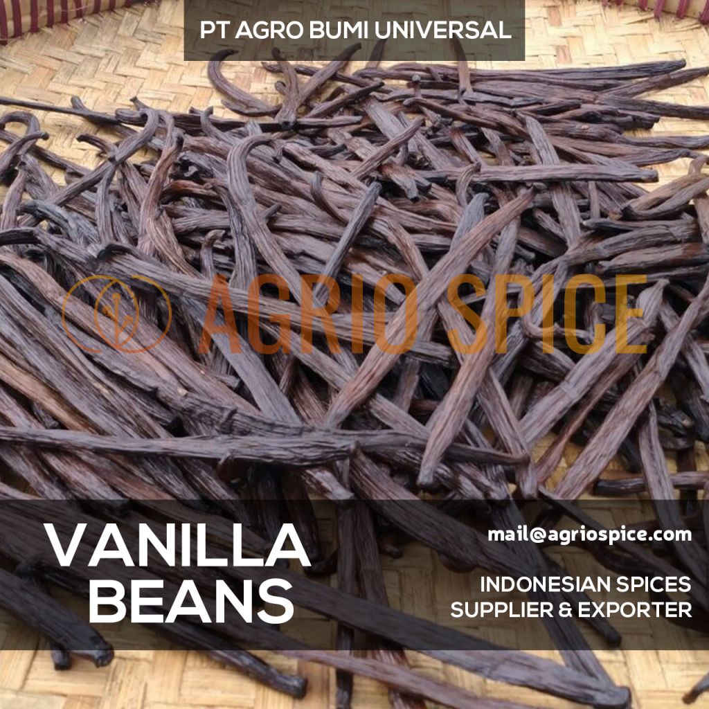 Vanilla Beans - Vanilla Planifolia Indonesian Best Vanilla Pods