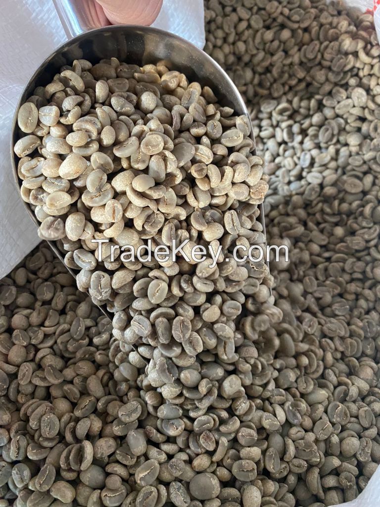 INDONESIA ARABICA and ROBUSTA COFFEE BEANS