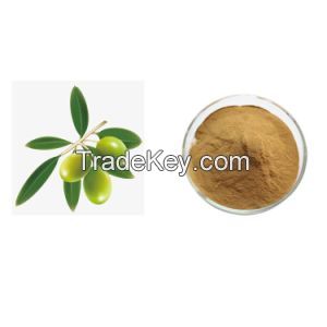 Olive fruit dry extract