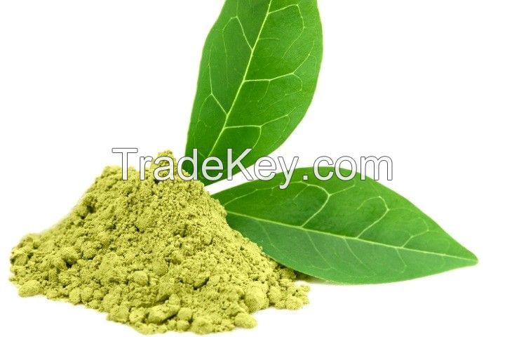 Green tea dry extract