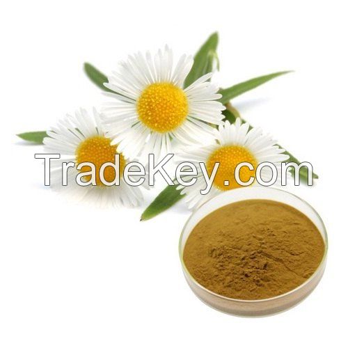 Chamomile dry extract