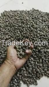 MORINGA WINGLESS SEEDS