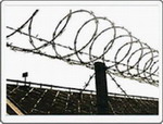 razor wire