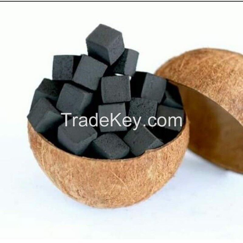 coconut briquettes for shisha