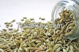 Fennel Seeds