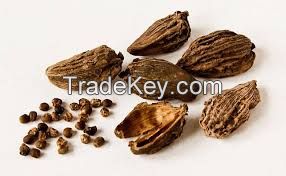 Black Cardamom