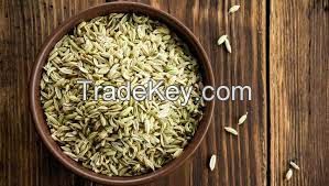 Fennel Seeds