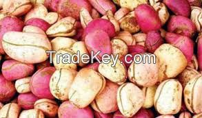 Kola Nuts