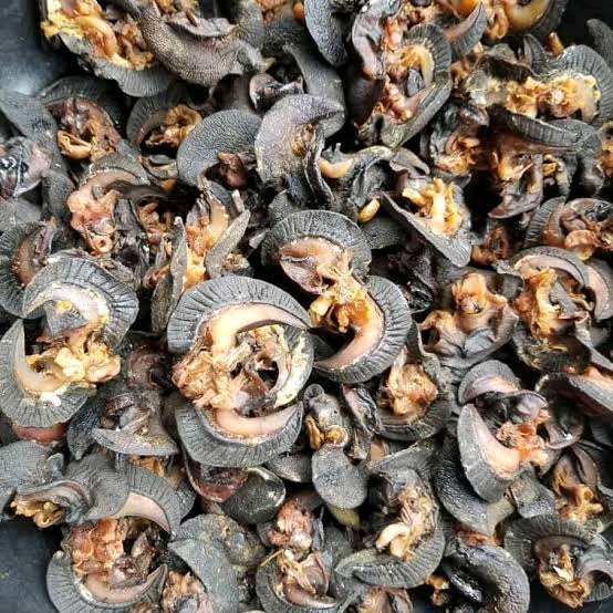 Dry snails, cleaned, frozen, dried snails
