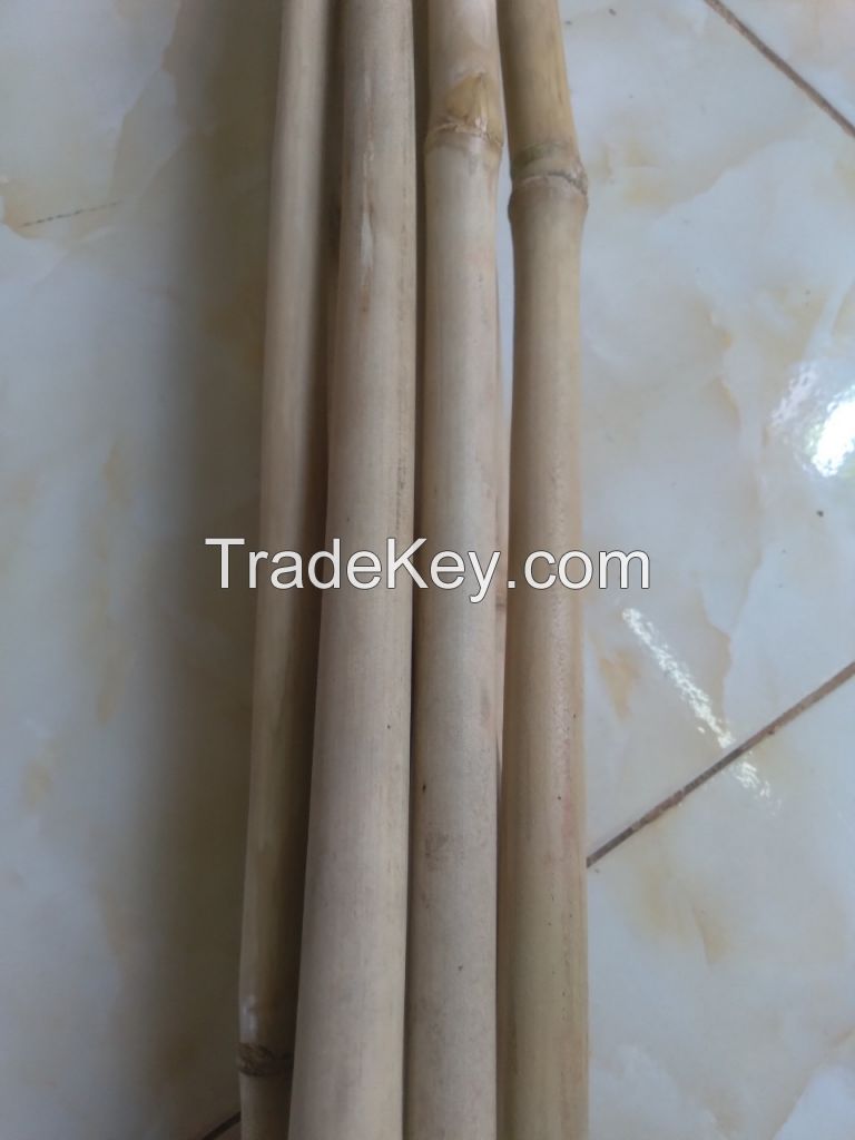 Solid dried bamboo poles for gardening and construction from Vietnam